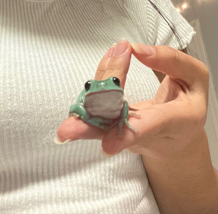 a person holding a small green and white frog in their right hand while wearing a sweater