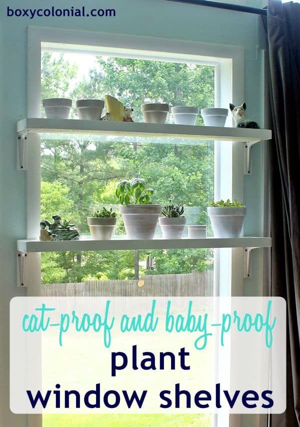 a window sill filled with potted plants in front of a white wall and the words at - proof and baby - proof plant window shelves