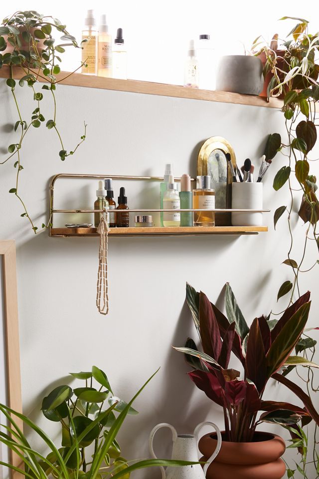 a potted plant sitting on top of a table next to a shelf filled with bottles