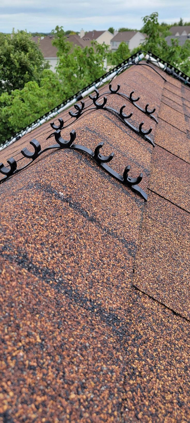 birds are sitting on the roof of a house