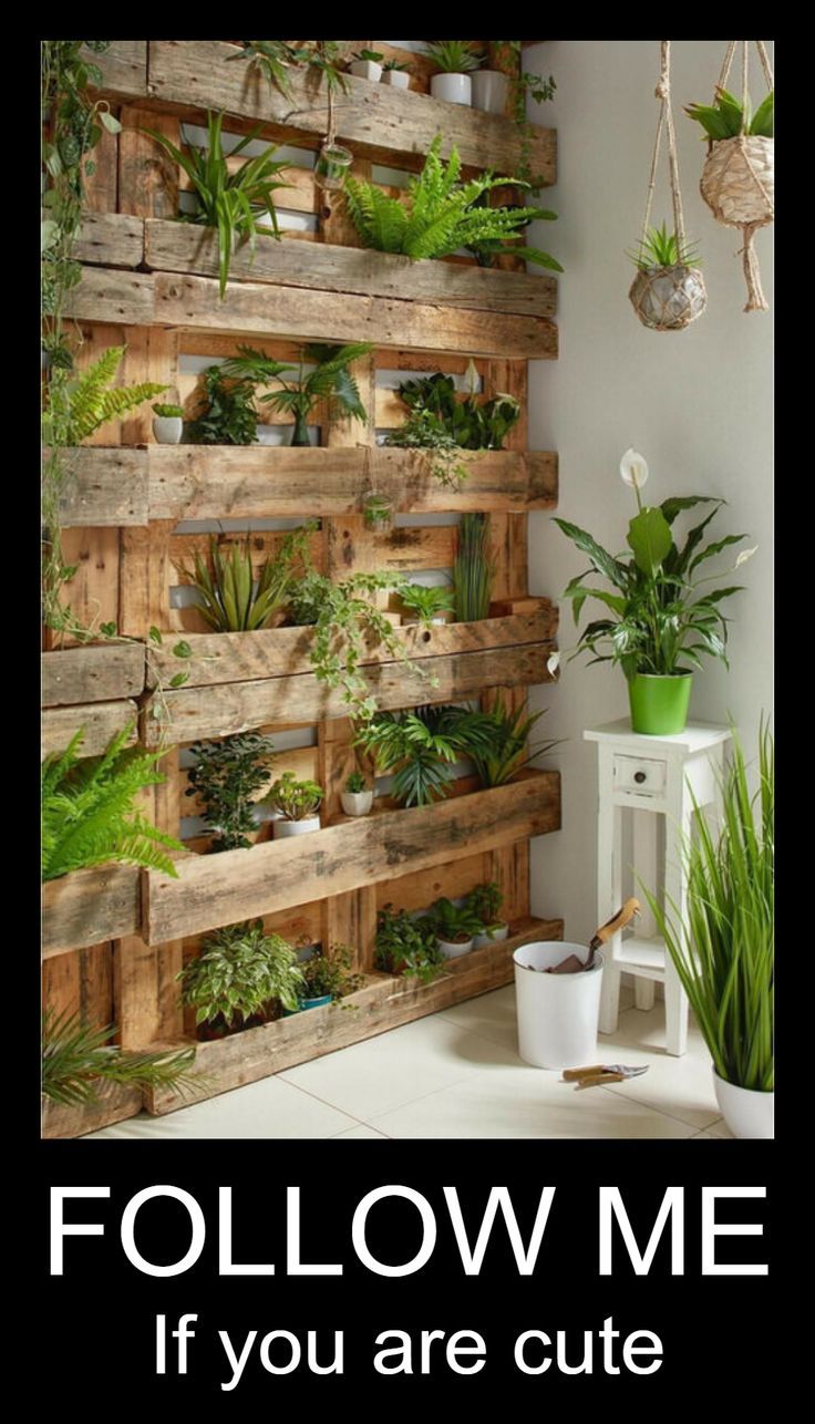 a wooden wall with some plants on it