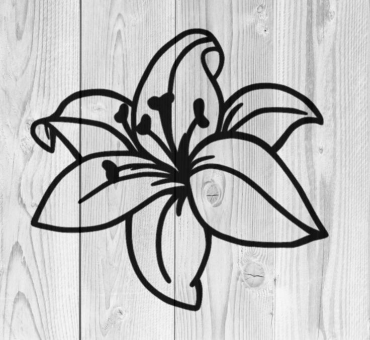 a black and white drawing of a flower on a wooden background with the word,