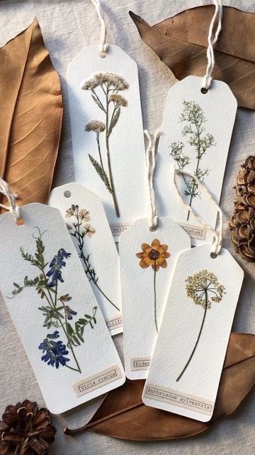 four tags with dried flowers on them sitting next to pine cones and acorns