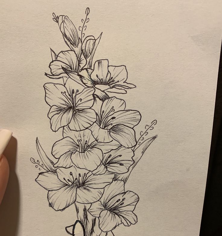 a drawing of flowers on paper with a pen in the foreground and a person's hand next to it