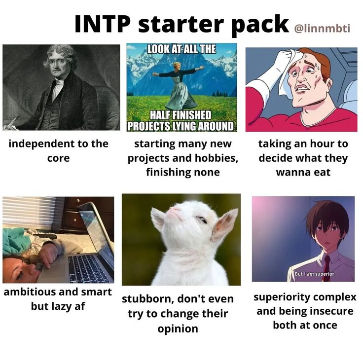 Intp Relationships, Intp Female, Intp Mbti, Istp Personality, Intp Personality Type, Intp T, Intp Personality, Intj Intp, Intj Personality