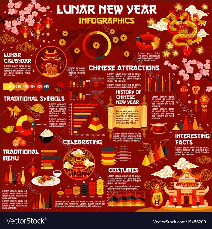 the lunar new year info poster