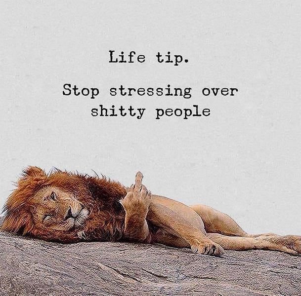 Inspirational content daily 🙏 on Instagram: “@mind.developer 👉stop stressing over shitty people. - Follow @mind.developer for more!💸 - Tag  Like  Share ✅ - Follow @mind.developer 💵…” Cocky Quotes, Get Off My Lawn, Lion Quotes, Weird Quotes Funny, Truth Of Life, Empowerment Quotes, Motivation Success, Real Life Quotes, News Website