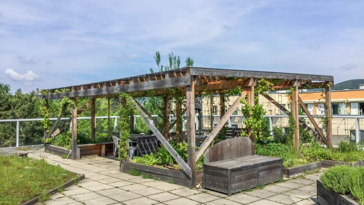 a wooden structure with plants growing in it on top of a roof garden next to a building