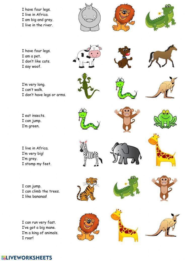 an animal worksheet for kids to learn how to read and understand the animals