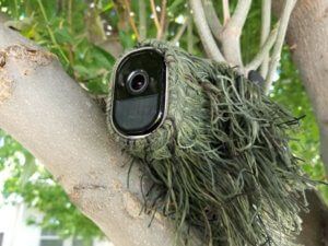 a close up of a camera in a tree