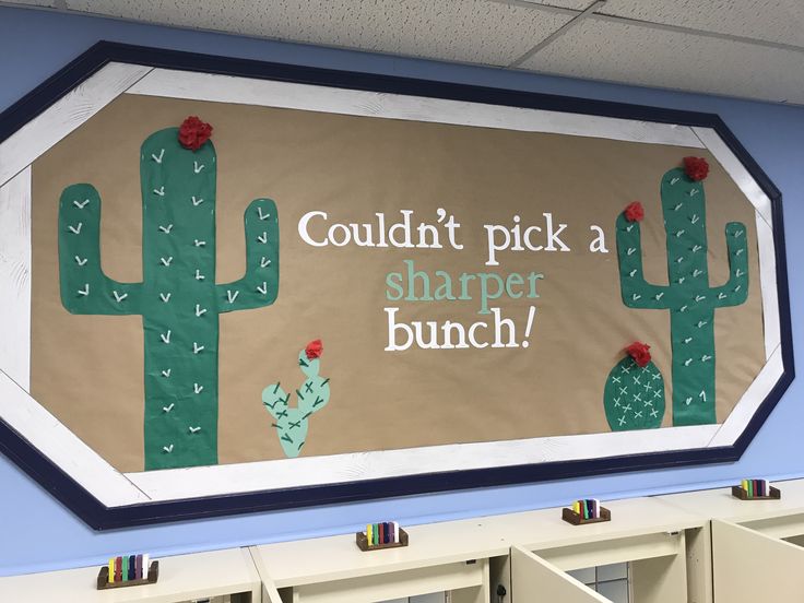 a bulletin board that says couldn't pick a shaper bunch on the wall