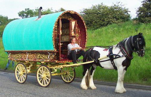 a black and white horse pulling a blue covered wagon down the road with people in it