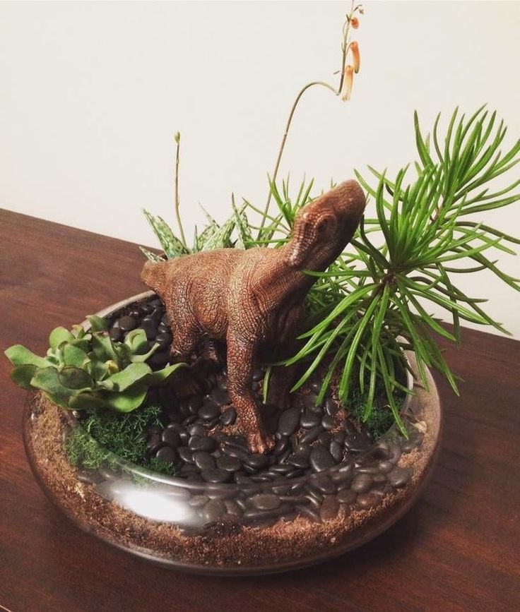 there is a small toy dog in the center of some rocks and plants on top of a table