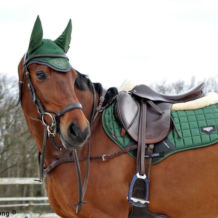 a brown horse wearing a green and white blanket on it's head with trees in the background