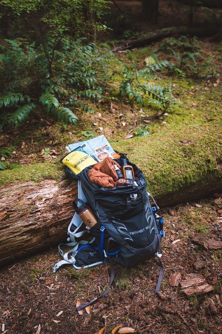 a backpack sitting on the ground next to a fallen tree