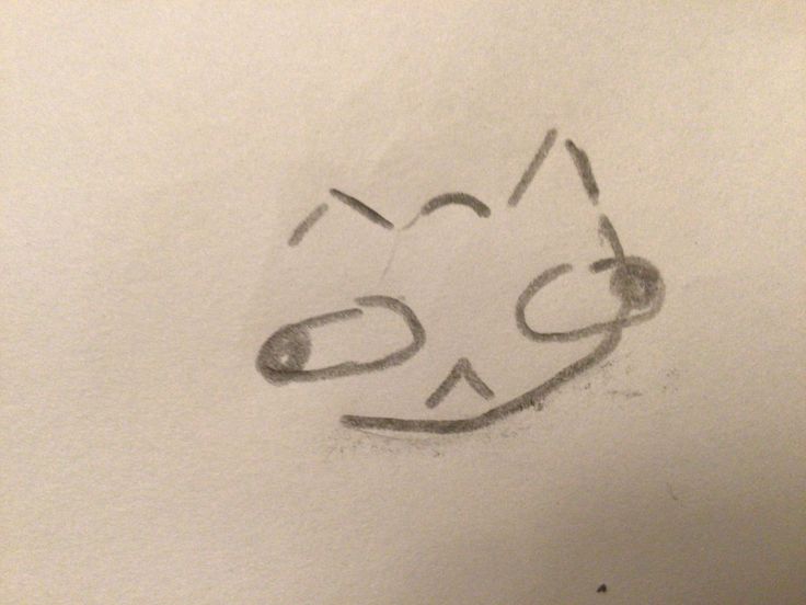 a drawing of a cat's face drawn on paper