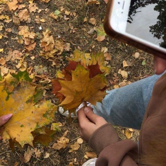 a person taking a photo of leaves on the ground