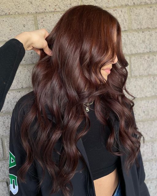 Dark Lavender Hair Brunettes, Brown W Red Undertones, Deep Red Brunette Hair, Raspberry Chocolate Hair Color, Dark Brown Copper Hair Color Balayage, Dark Copper Brown Balayage, Rich Brown Copper Hair, Deep Brown Hair Color Dark Auburn, Dark Auburn Hair Color With Money Piece