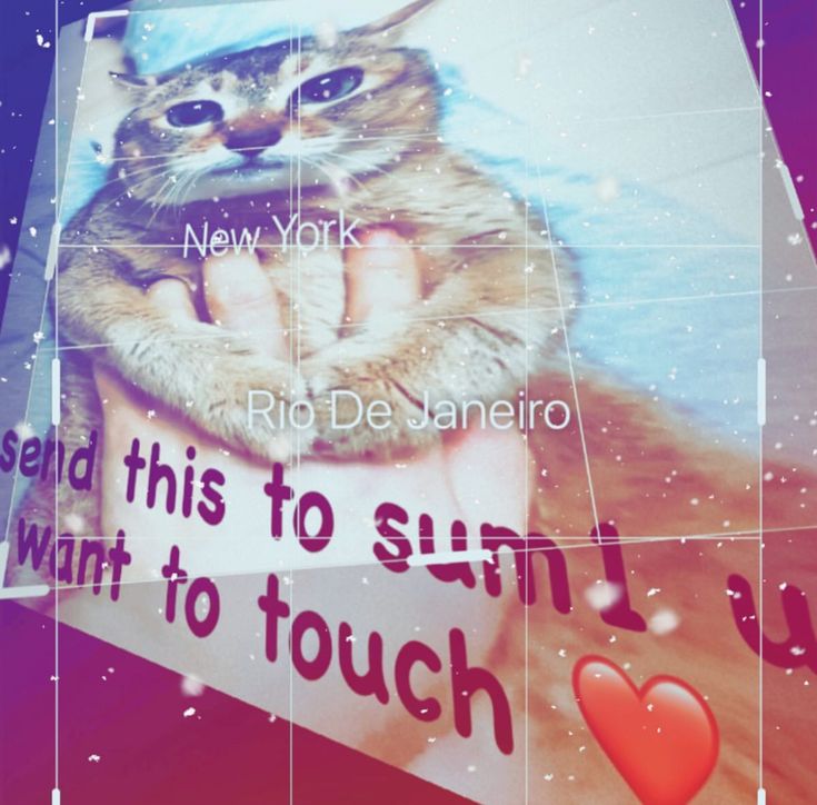 a poster with a cat on it that says, i send this to sinil i want to touch