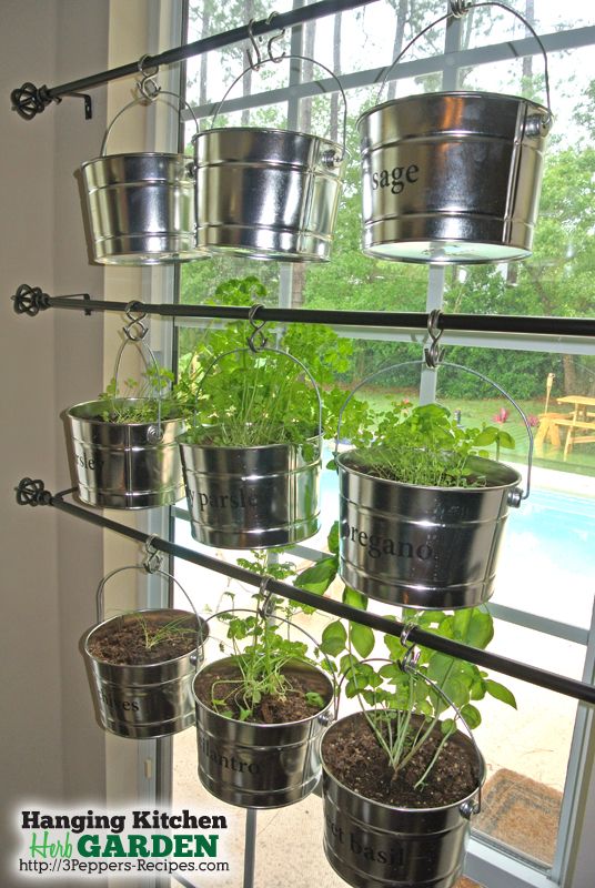 several hanging pots filled with plants in front of a window