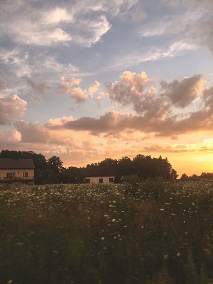 the sun is setting over a field with some houses in the distance and flowers growing on the grass