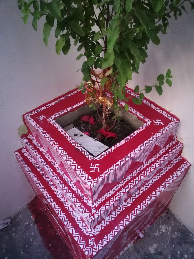 a tree is growing out of a red box