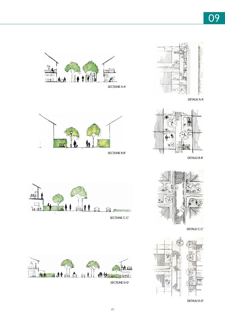 four diagrams showing the various stages of trees and how they can be used to create them