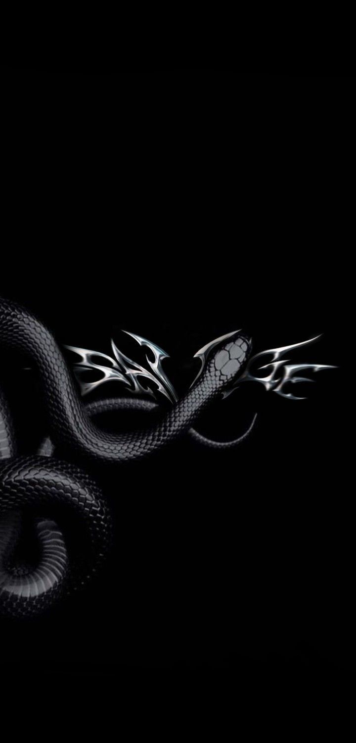 a black and white snake is in the dark with it's tail curled up