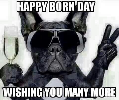 a dog wearing sunglasses and holding two champagne glasses with the caption happy born day wishing you many more