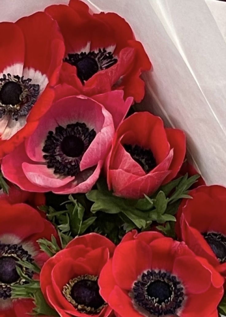 a bunch of red flowers in a white box