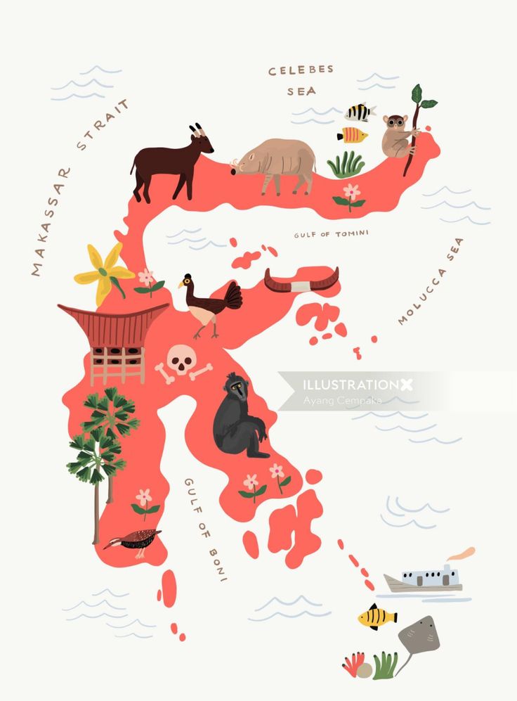 an illustrated map with animals and plants on it