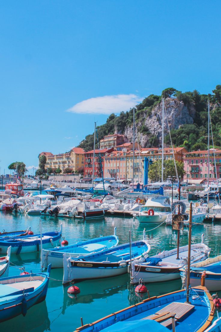 many boats are docked in the water near some buildings and hills with trees on them