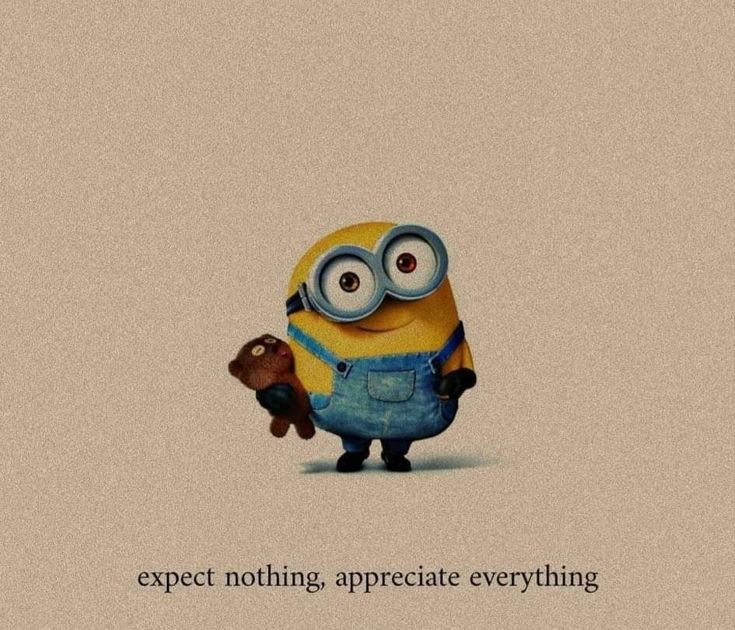 a minion holding a teddy bear with the caption expect nothing, appreciate everything