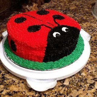 a cake decorated to look like a ladybug sitting on top of a counter