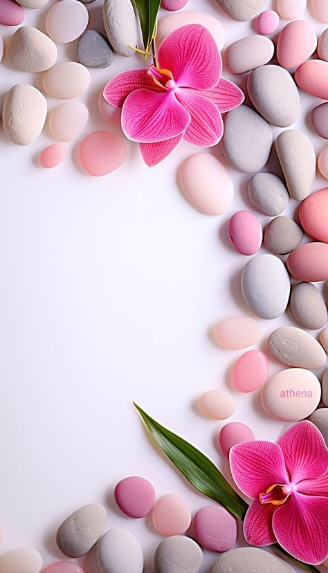 a pink flower surrounded by white and gray rocks with green leaves on the bottom right corner