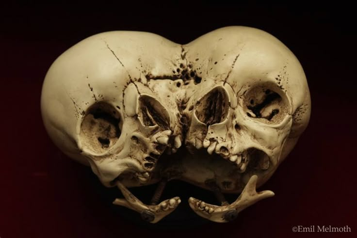 two skulls with their mouths open in the shape of a heart