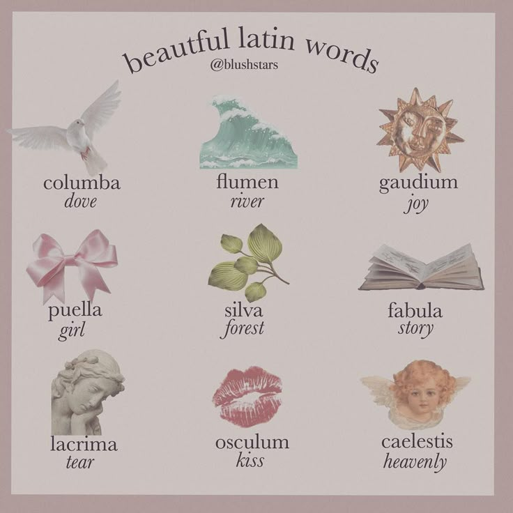 the beautiful latin words poster is shown in pink and white with an image of a woman's face