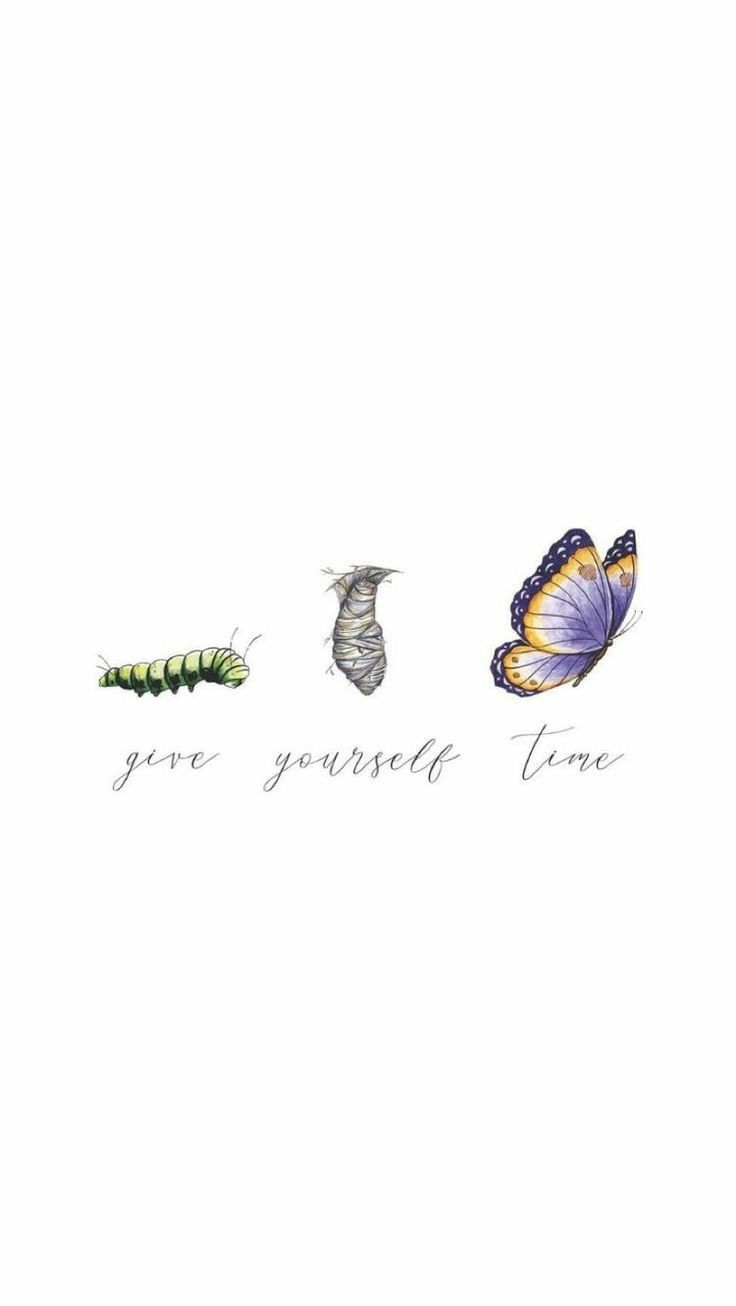 three butterflies with the words you're yourself, love written on one side and two caterpillars on the other