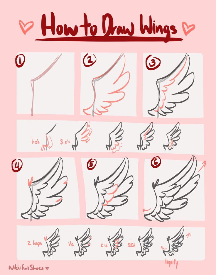 Anime Fairy Wings Design HD Png Download  Transparent Png Image  PNGitem