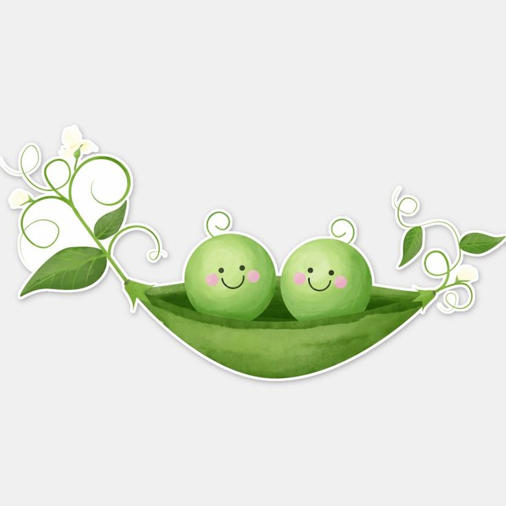 two peas sitting in a pea pod with leaves and flowers on the side, both smiling at each other