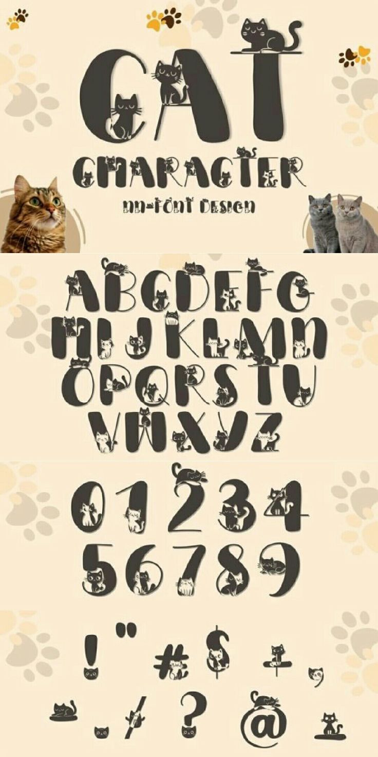 an animal themed font and numbers are shown in this graphic style, with the cat's paw prints on it