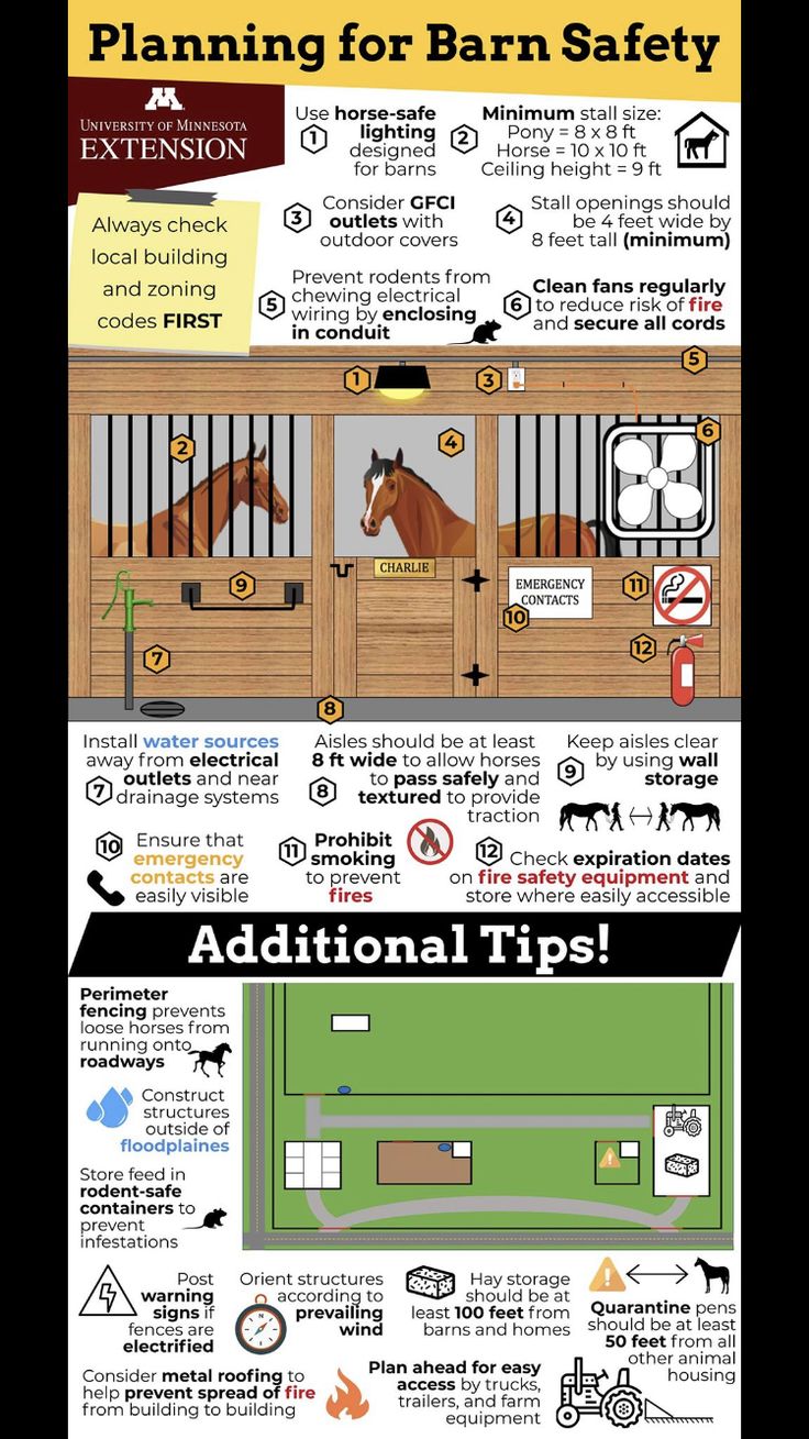 an info sheet describing the different types of horses in their pen and how they can use them