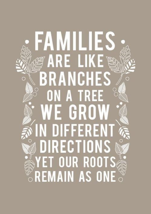 a quote that reads families are like branches on a tree we grow in different directions yet our roots remain as one