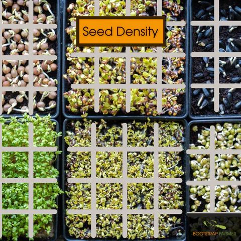 seed density is the most important factor for growing plants