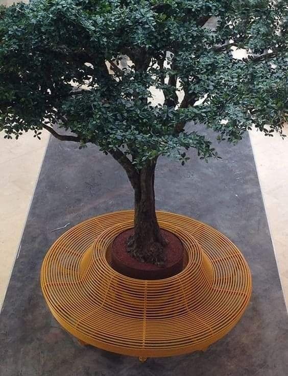 a small tree sitting in the middle of a yellow basket on top of a sidewalk