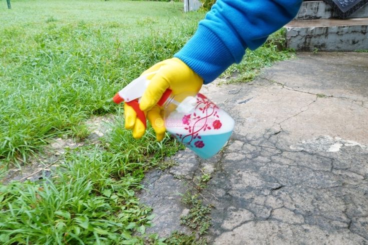 a person wearing rubber gloves is cleaning the grass