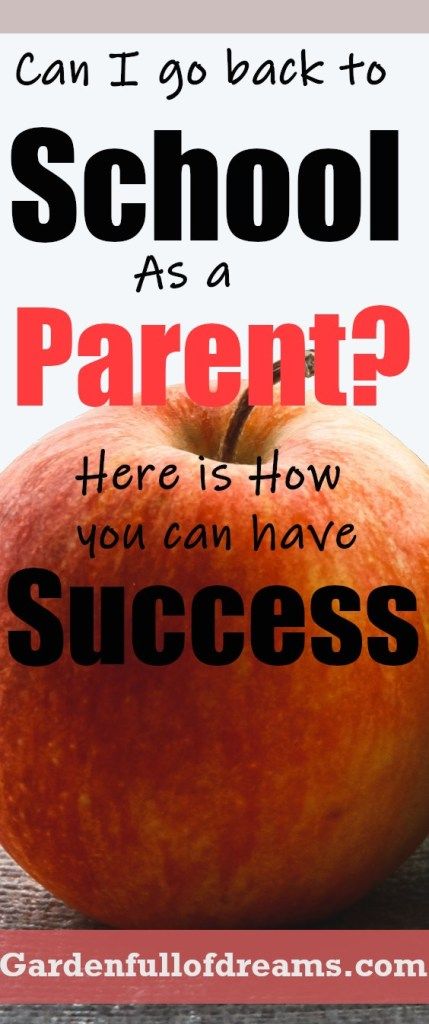 an apple with the words can i go back to school as a parent? here is how you can have success