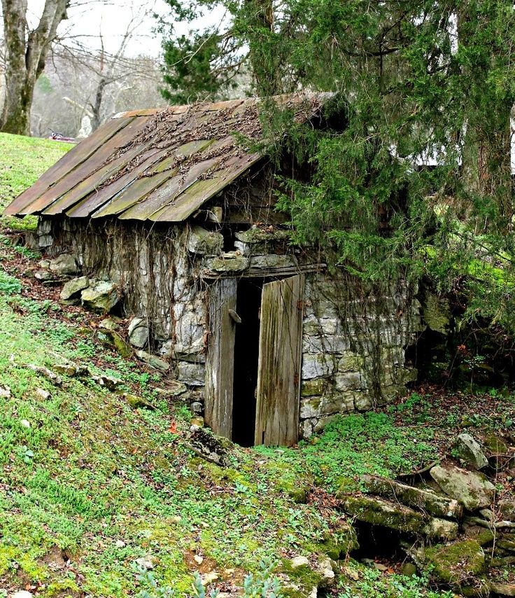 an old outhouse in the woods with moss growing on it's roof and door