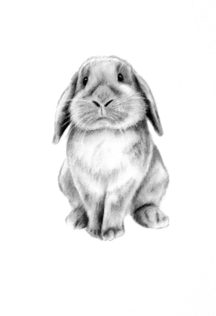 a black and white drawing of a rabbit