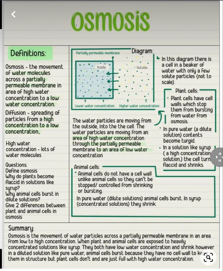 Study Guide Biology, Biology Notes Osmosis, Osmosis Revision Notes, Biology Flashcards Gcse, Biology Osmosis Notes, Osmosis Notes Biology, Gcse Science Notes, Gcse Science Revision Biology, How To Revise For Science